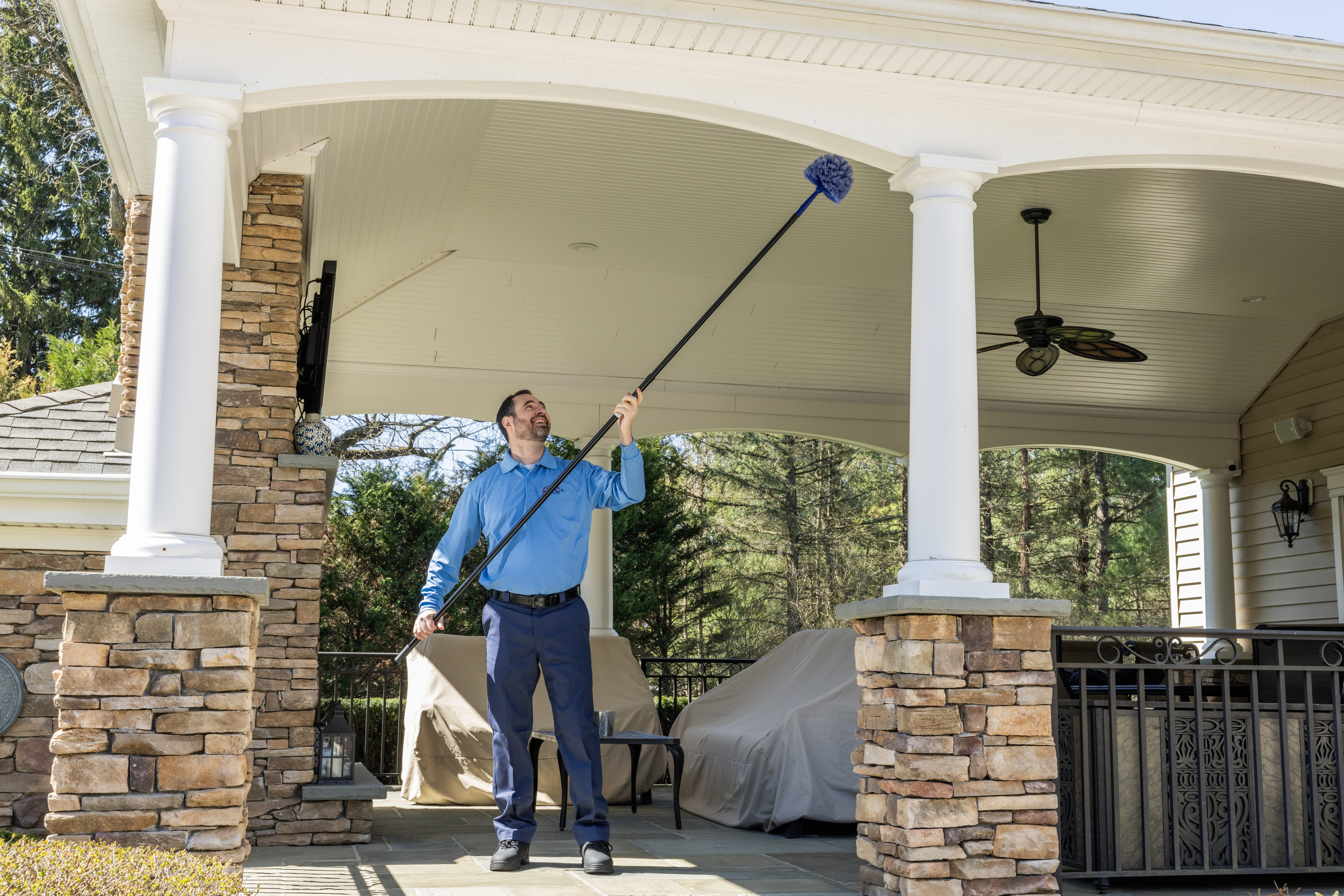 Western Pest How We Get Rid Of Ants