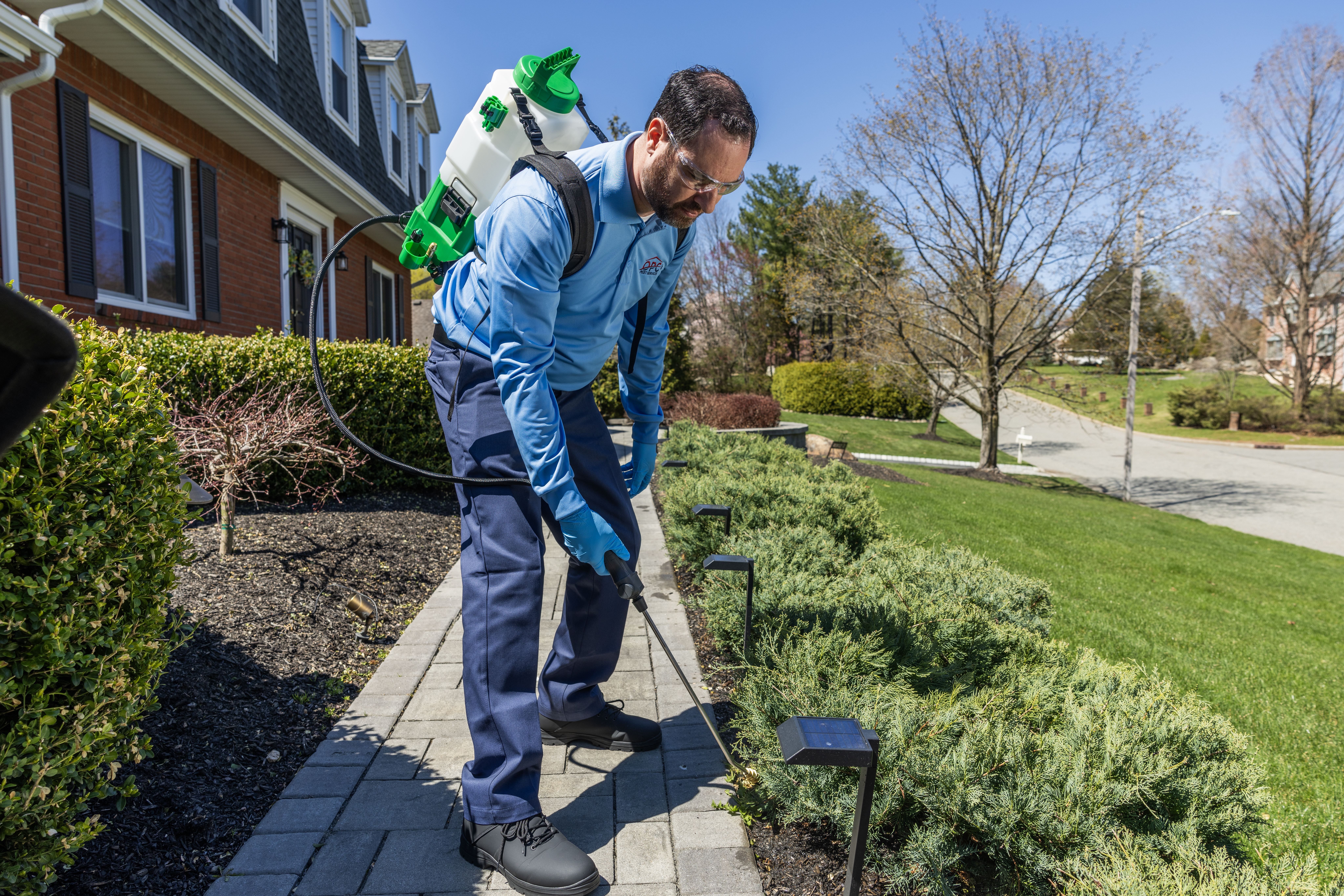 Western Pest How We Get Rid Of Ants