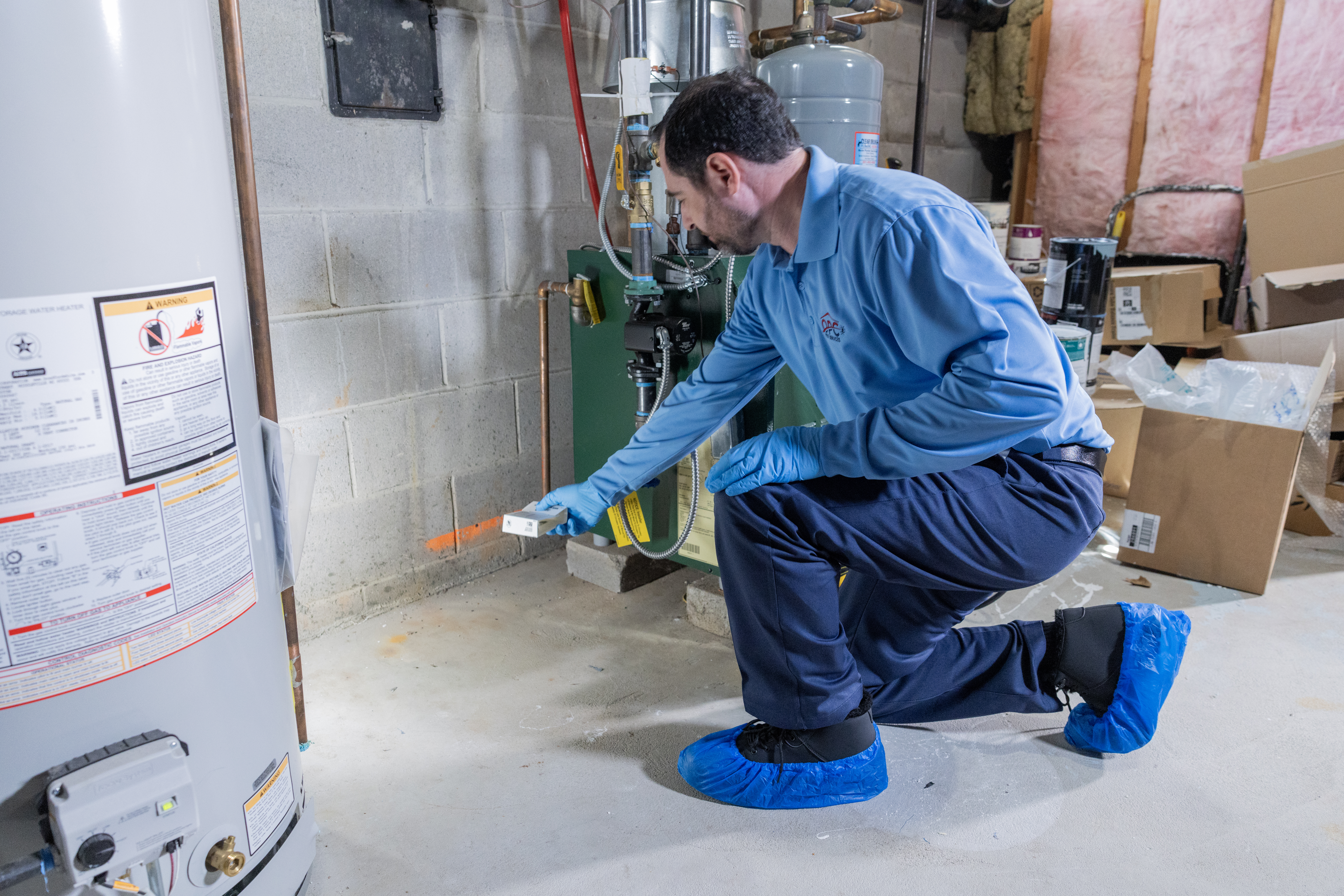 Western Pest How We Get Rid Of Ants