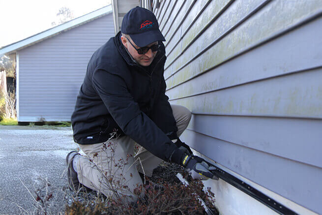 Western Pest How We Get Rid Of Ants