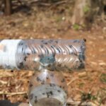 Natural Pest Control Services