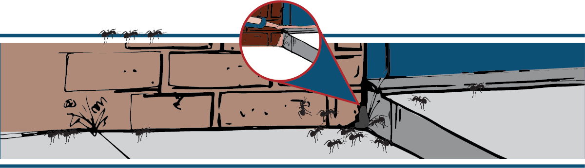 Cracks and crevices within the foundation of your home can be an easy way for pests to come in.