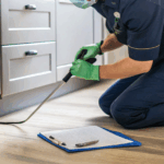 Why a Year-Round Pest Control Plan Works Best